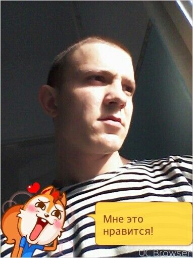  8566599  , 29 ,    