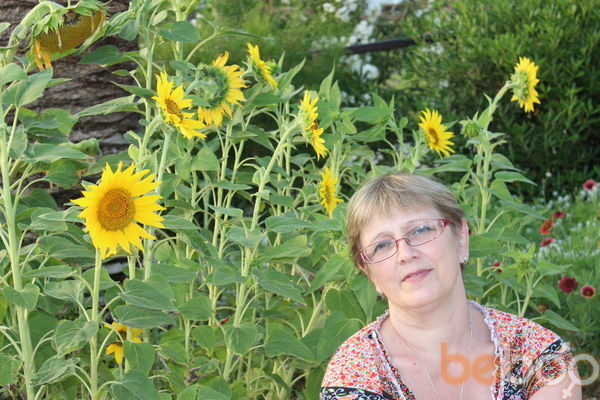 ���������� ������������, ���� ������� ��������, 66 ���, ������������ ��� ������, ����� � ���������, c�������� ���������