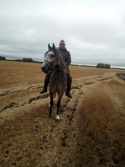  ,   Ը, 27 ,   ,   , c , 