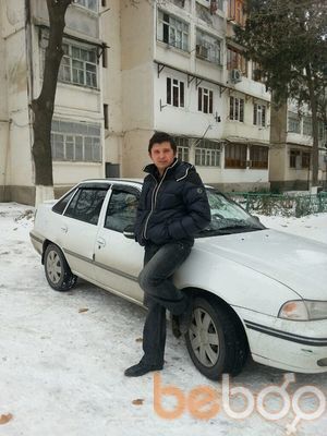 3935199  , 37 ,    