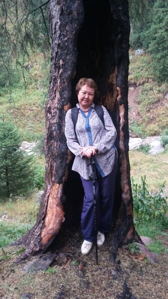  ,   , 66 ,  