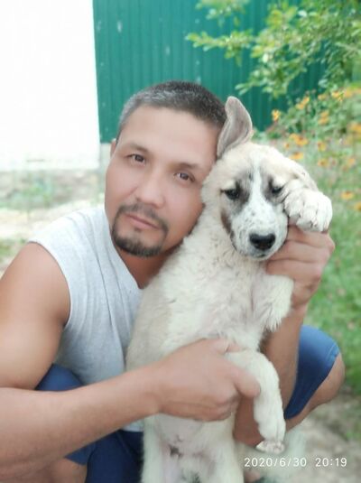  ,   ____, 45 ,   ,   