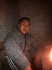  ,   Tilek, 31 ,   ,   , c 