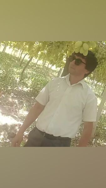  ,   Husein, 27 ,     , c 