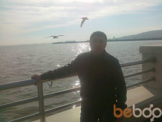  3932389  Vusal, 43 ,    