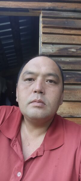  -,   , 37 ,     , c , 