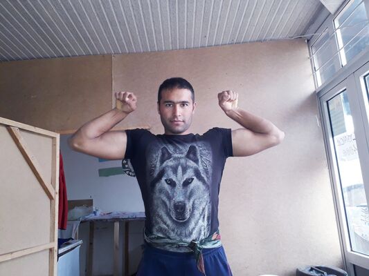  ,   Black Wolf, 34 ,   , 