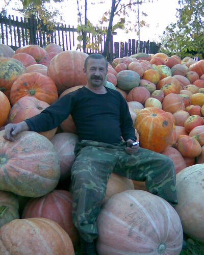  ,   , 62 ,   