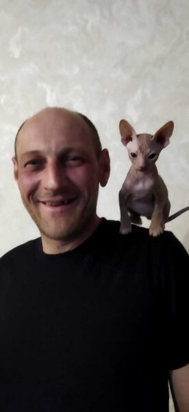  ,   , 41 ,   ,   