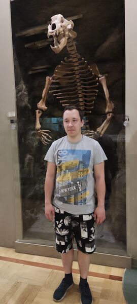  ,   Nikolay, 29 ,   ,   , c 