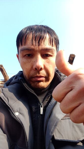  -,   , 41 ,   ,   , c 
