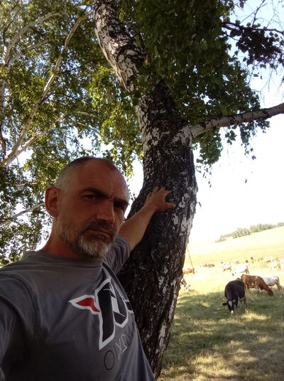  ,   , 46 ,   ,   