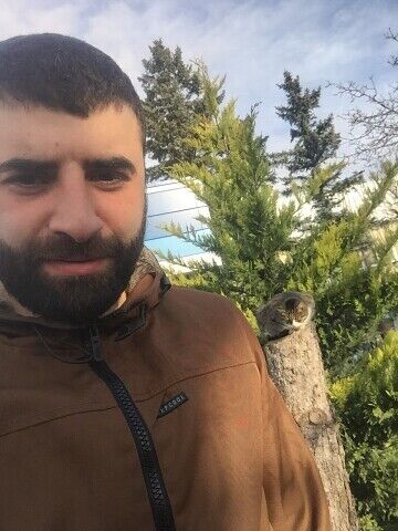  --,   , 36 ,   ,   