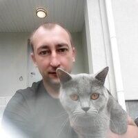  ,   , 41 ,   