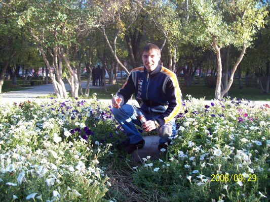  ,   BUSH, 40 ,     , c 