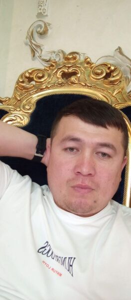  ,   Alimardon, 31 ,   ,   