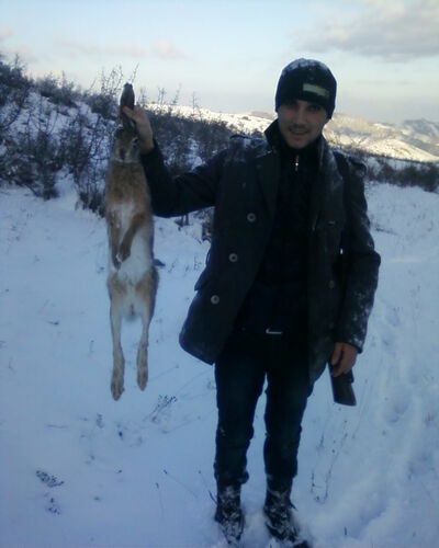  ,   Dadas, 39 ,   