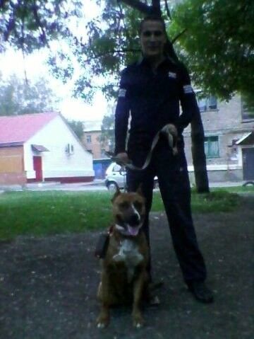 ���������� ������, ���� ������� ���� �����, 37 ���, ������������ ��� ������, ����� � ���������, c�������� ���������