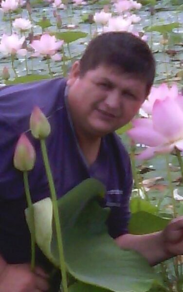 ,   , 56 ,   ,   , c , 