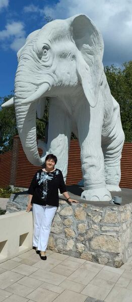  ,   , 59 ,   ,   
