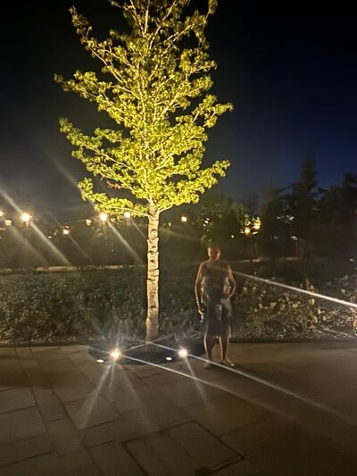  ,   , 67 ,   ,   , c 