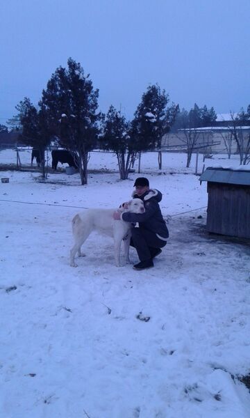  ,   SIAVA, 45 ,  