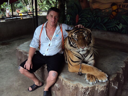  ,   , 51 ,   