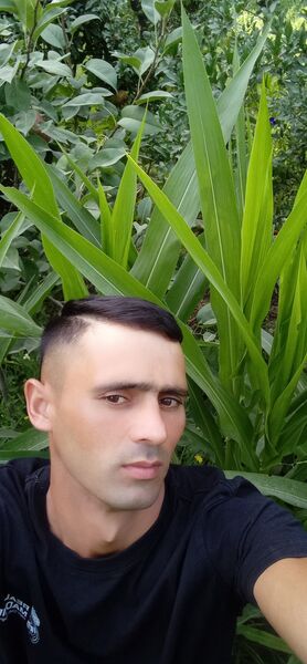  -,   , 33 ,   ,   , c 