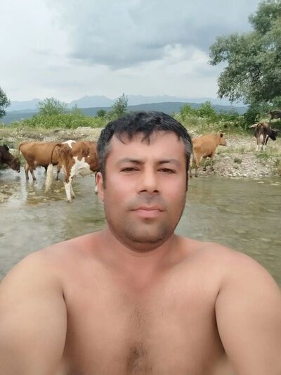  ,    , 38 ,   ,   