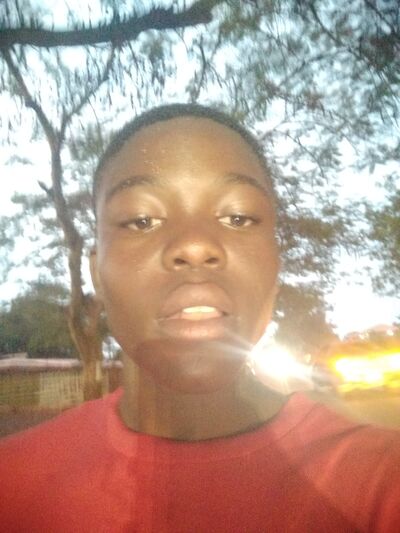  Harcourt,   Pel, 24 ,   ,   