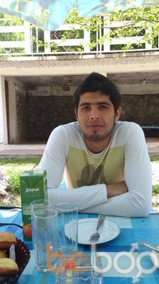 ���������� �������, ���� ������� Shohin, 37 ���, ������������ ��� ������, ����� � ���������, c�������� ���������