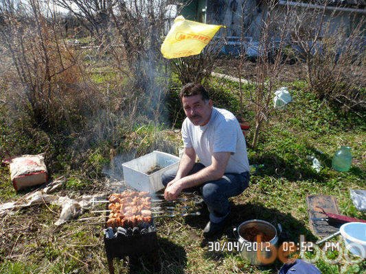 ���������� �����-���������, ���� ������� ZL1225, 60 ���, ������������ ��� ������