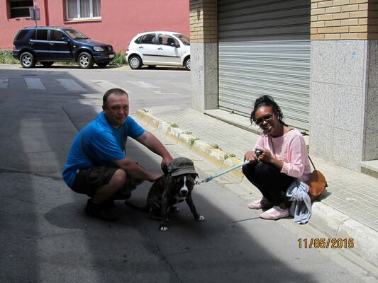  -,   Andre, 48 ,   ,   , c 