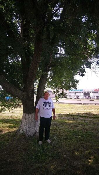  ,   , 65 ,   c 