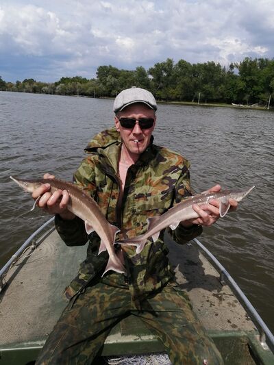  -,   Viktor, 44 ,     , c 