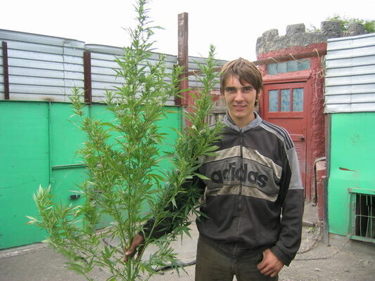  ,   Artem, 35 ,   