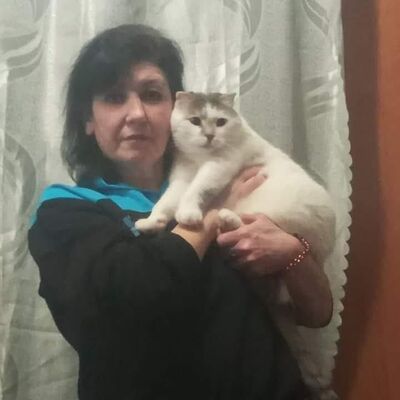  ,   , 53 ,     , c , 