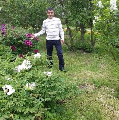  ,   , 55 ,   ,   , c , 