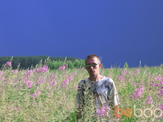   ,   , 41 ,   