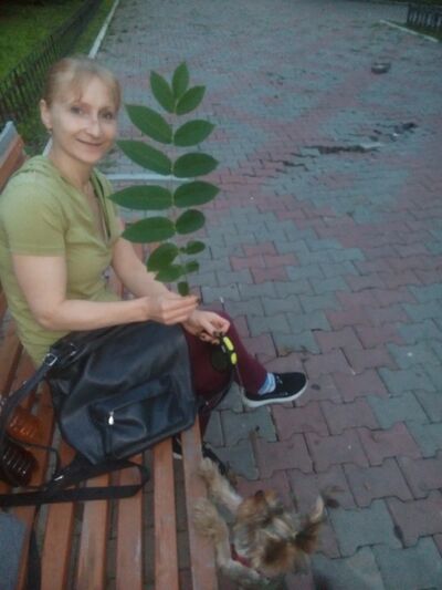 ,   , 42 ,   c , 