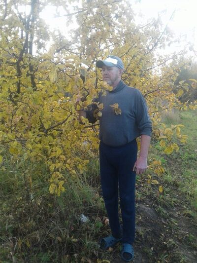  ,   , 63 ,     