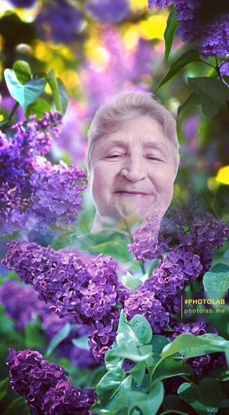  ,   , 72 ,   ,   