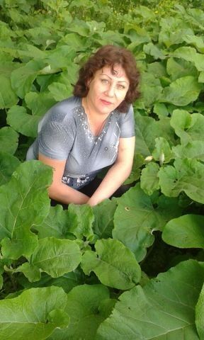 Купить Девушку Караганде На 1 Час