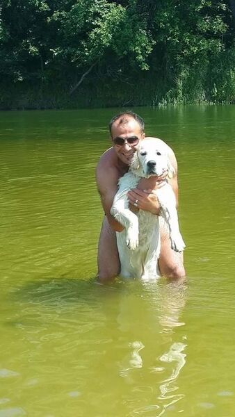  ,   Sezgin, 44 ,   ,   , c 