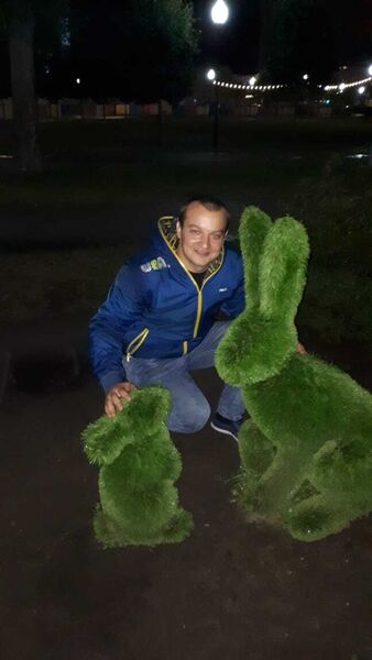  ,   Art, 31 ,   ,   