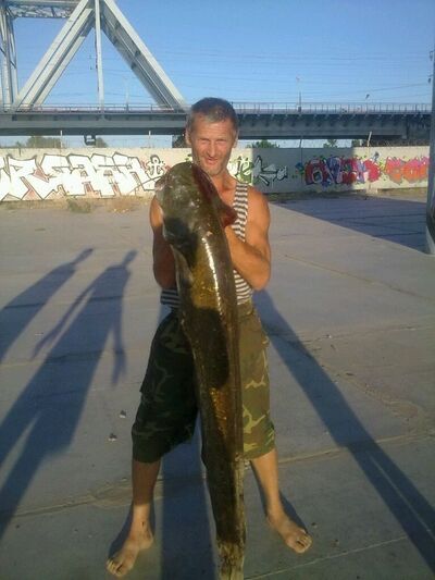  Novy,   , 53 ,   ,   , c 