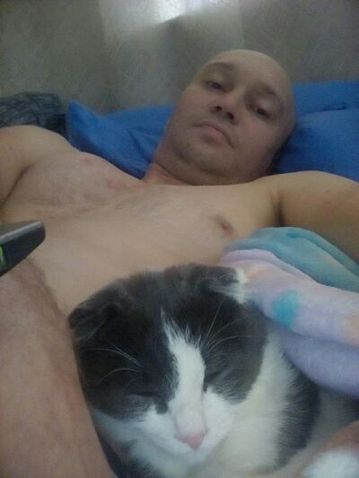  ,   , 44 ,   
