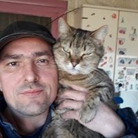  ,   , 46 ,  
