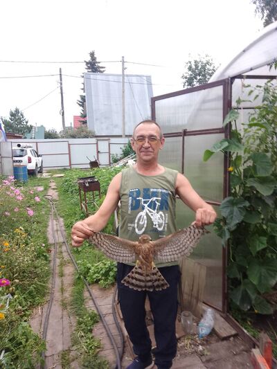  ,   , 57 ,   ,   , 