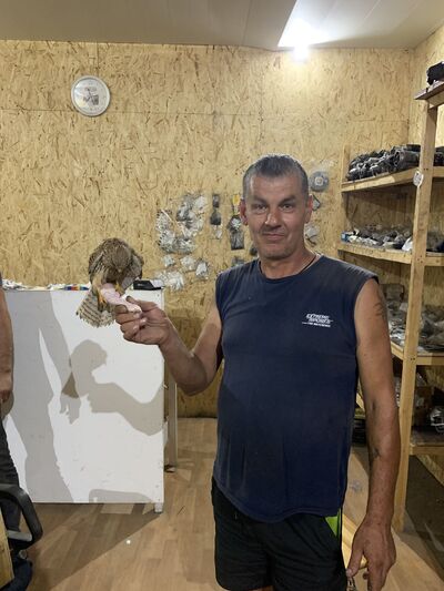 ,   Aleks, 50 ,   ,   